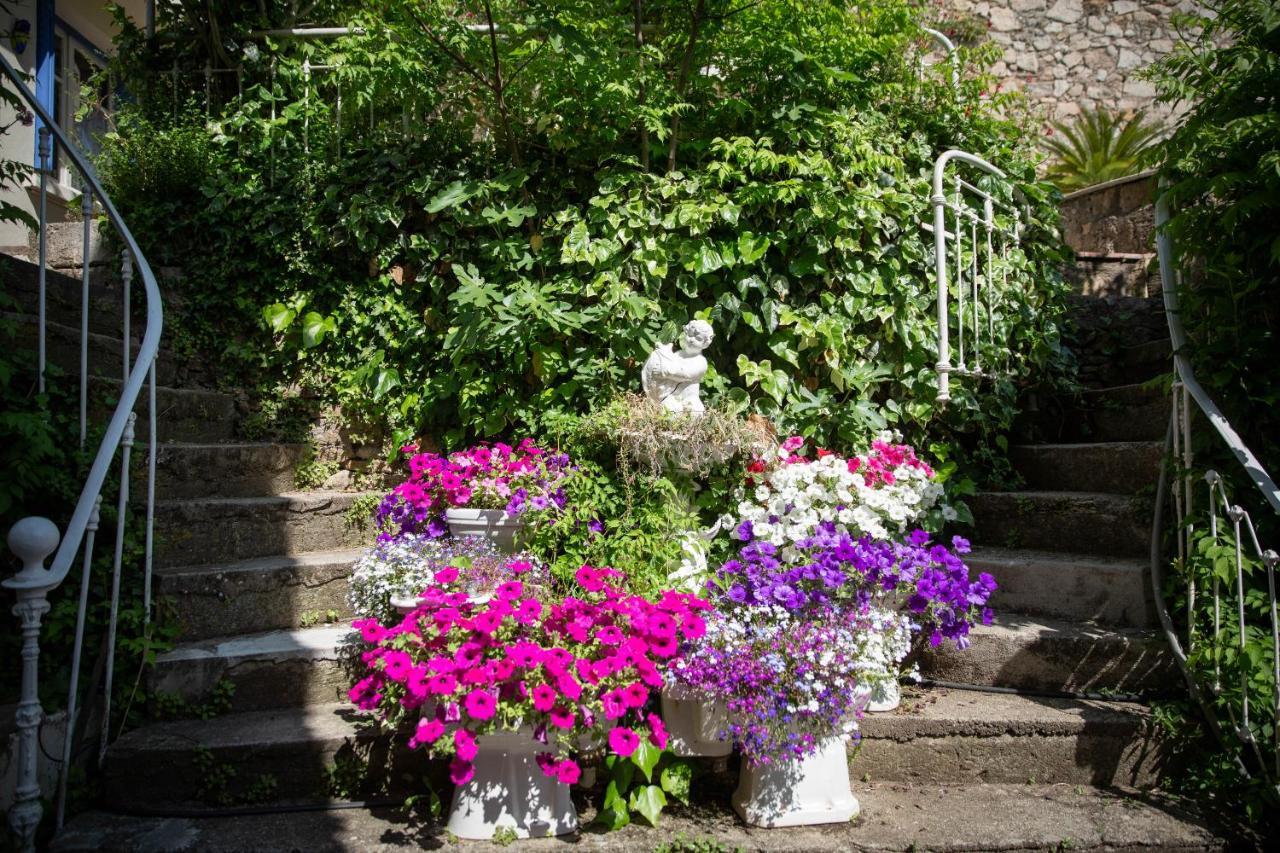 Guest house La Roseraie Lodeve